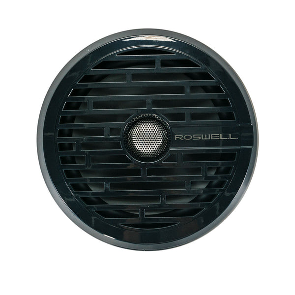 Roswell Marine R1 8" In Boat Speakers